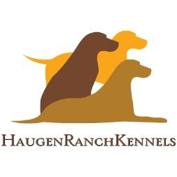 Hunting Pups - Kenneling - Finished Bird Dogs - Minot, ND