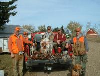 Dog Breeders North Dakota, Haugen Ranch Kennels, Dog Boarding Minot, North Dakota, Pet Boarding Minot, North Dakota, Brittany Spaniels